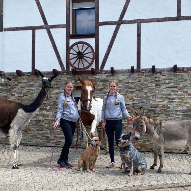 Alina und Laura Schäfges vor dem Elzbachhof mit einem Lama, einem Pferd, Hunden und einem Esel